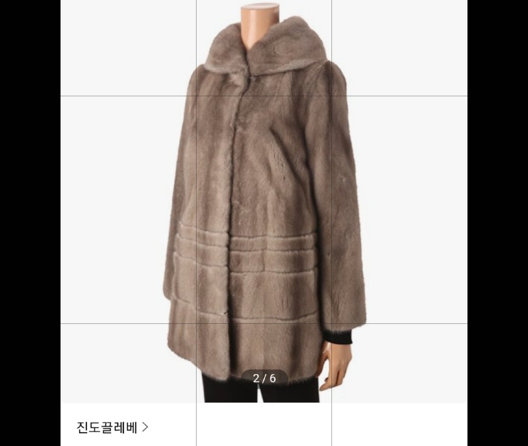 진도모피