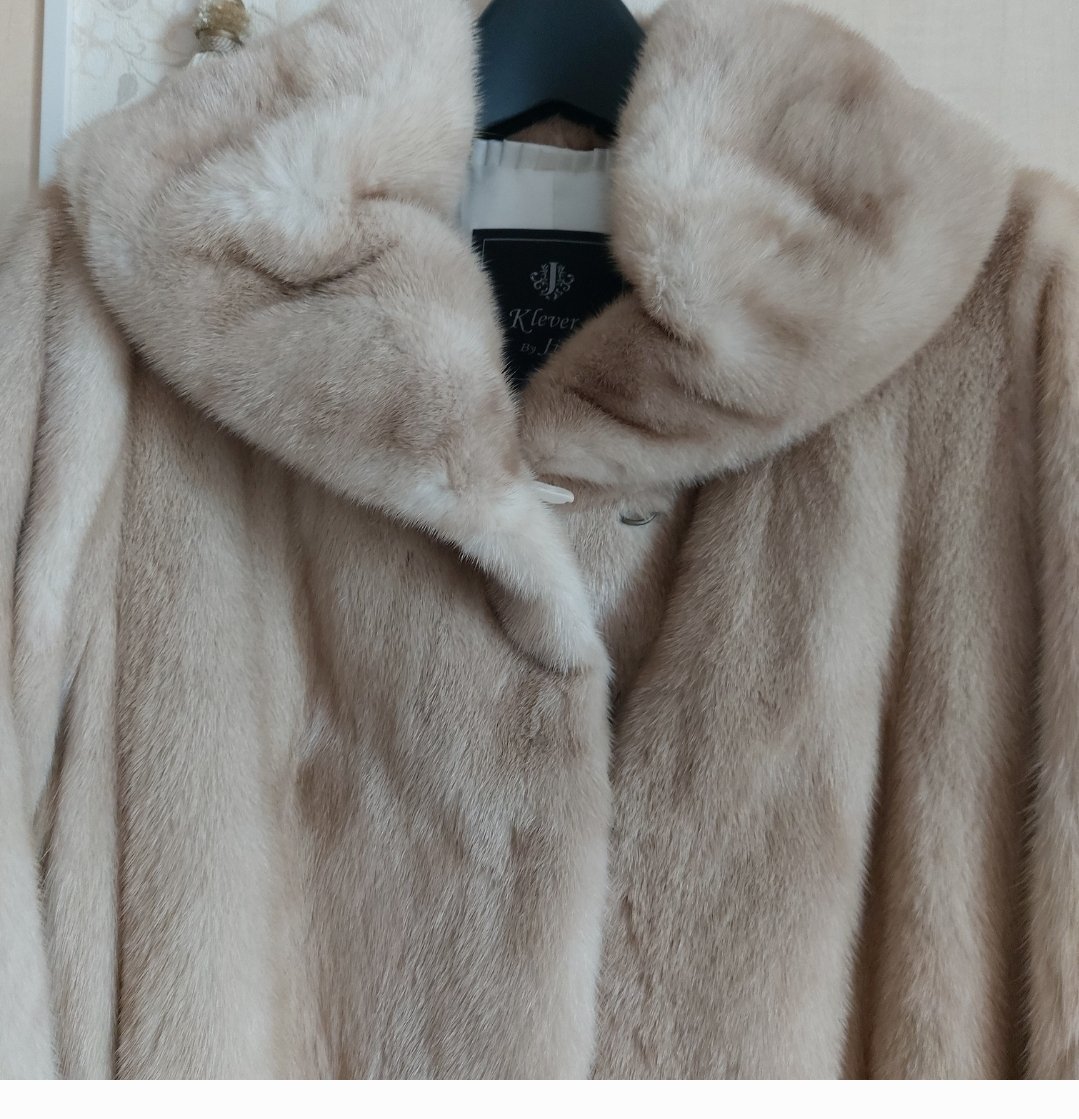 진도모피