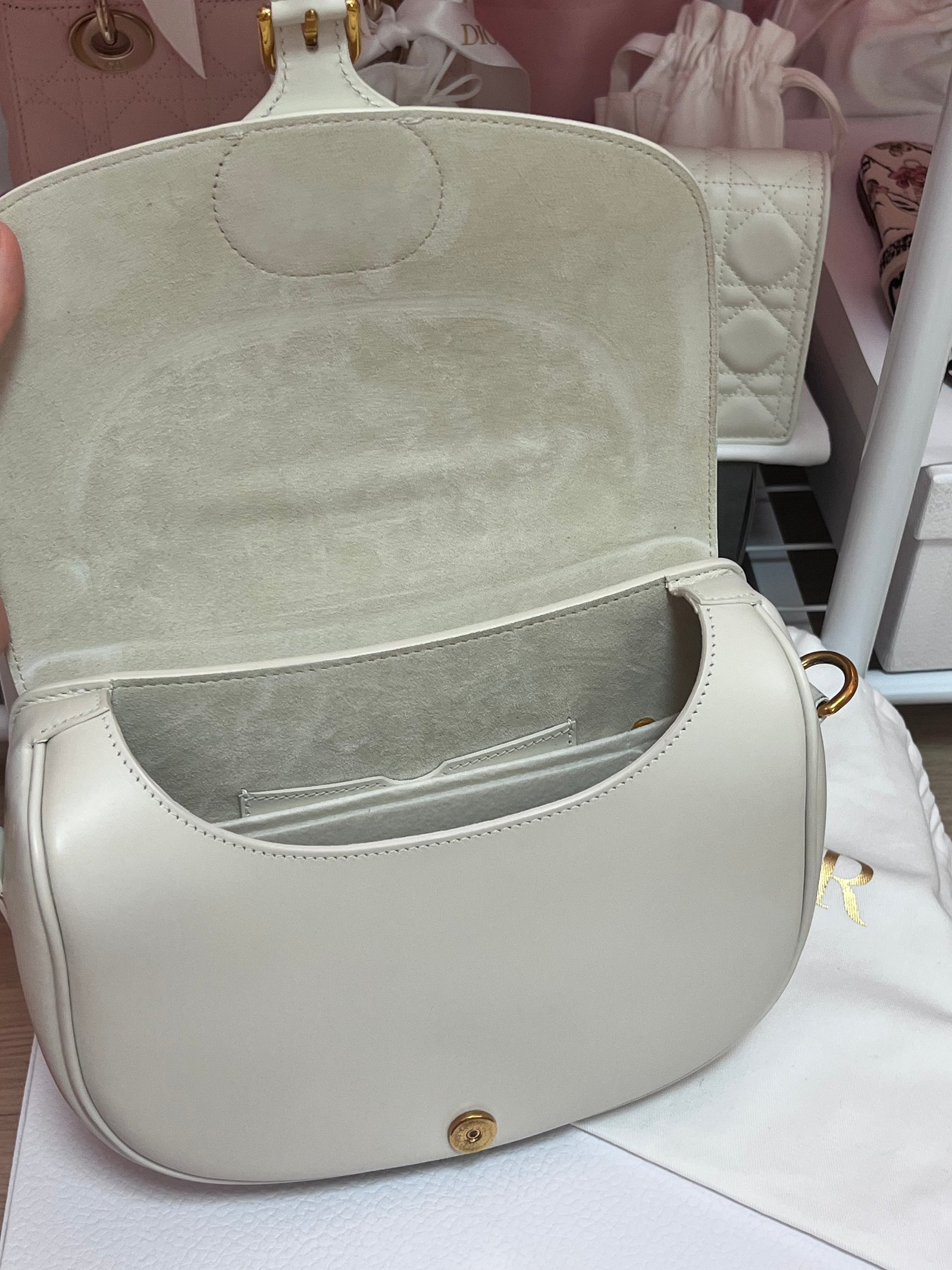 디올 바비백